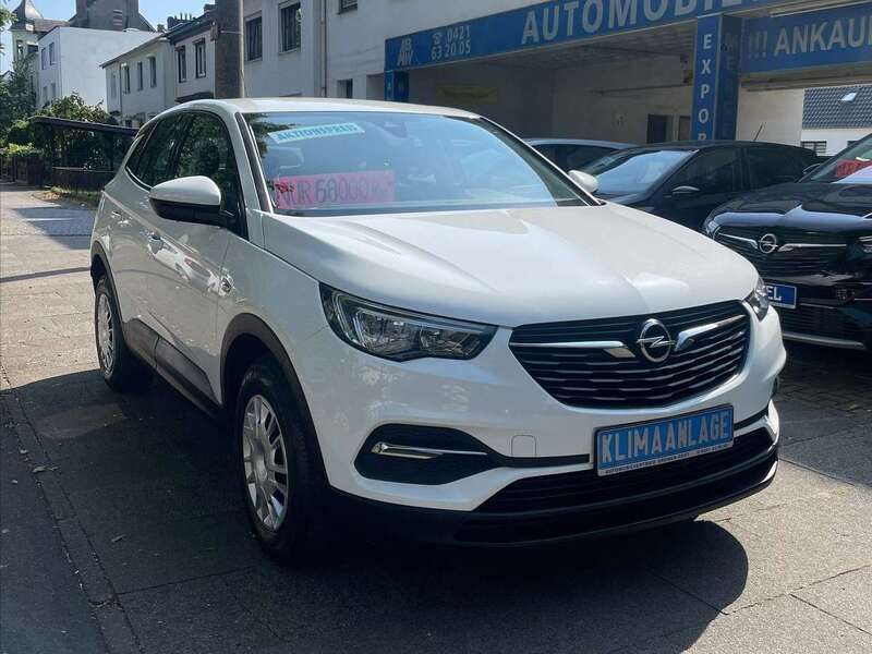 Jade weiss/arktis weiss Gebraucht 2019 Opel Grandland X Selection SUV | 14.200 € (Fairer Preis) - Bild 1/4