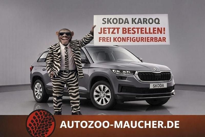 Gebraucht Skoda Karoq Selection 150 PS (110 kW) 2026 SUV