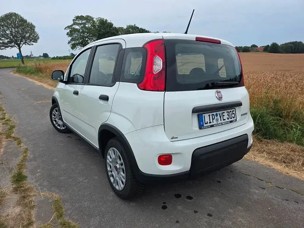 Gebraucht Fiat Panda 69 PS (50 kW) 2023 Weiß Kleinwagen