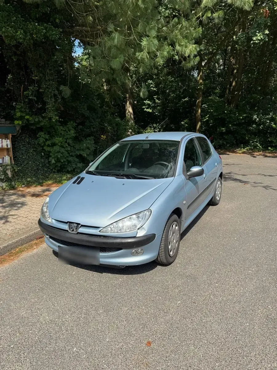 Gebraucht Peugeot 206 61 PS (44 kW) 2004 Blau Kleinwagen