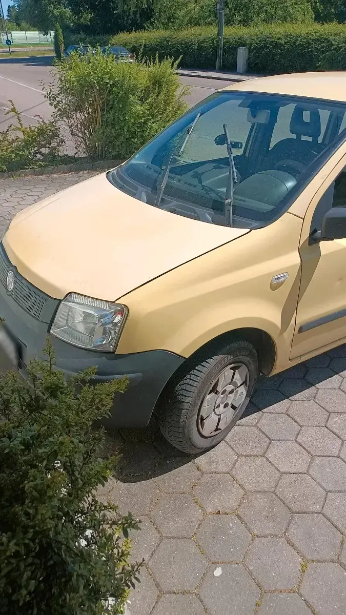 Gebraucht Fiat Panda 60 PS (44 kW) 2009 Gelb Kleinwagen