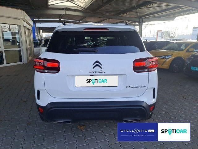 Gebraucht Citroën C5 Aircross PureTech 131 PS (96 kW) 2023 Weiß SUV