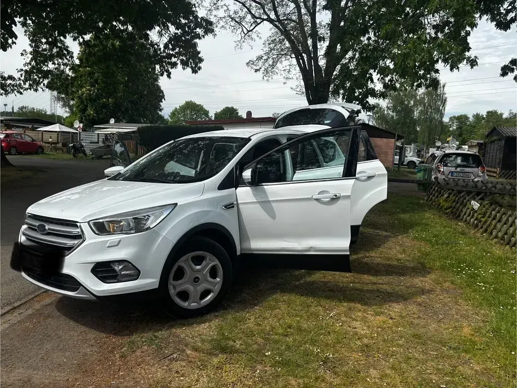 Usado Ford Kuga Trend 120 HP (88 kW) 2019 Branco SUV