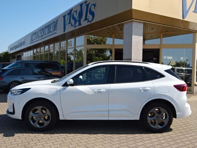 Neu Ford Kuga ST-Line 242 PS (177 kW) 2025 Weiß SUV