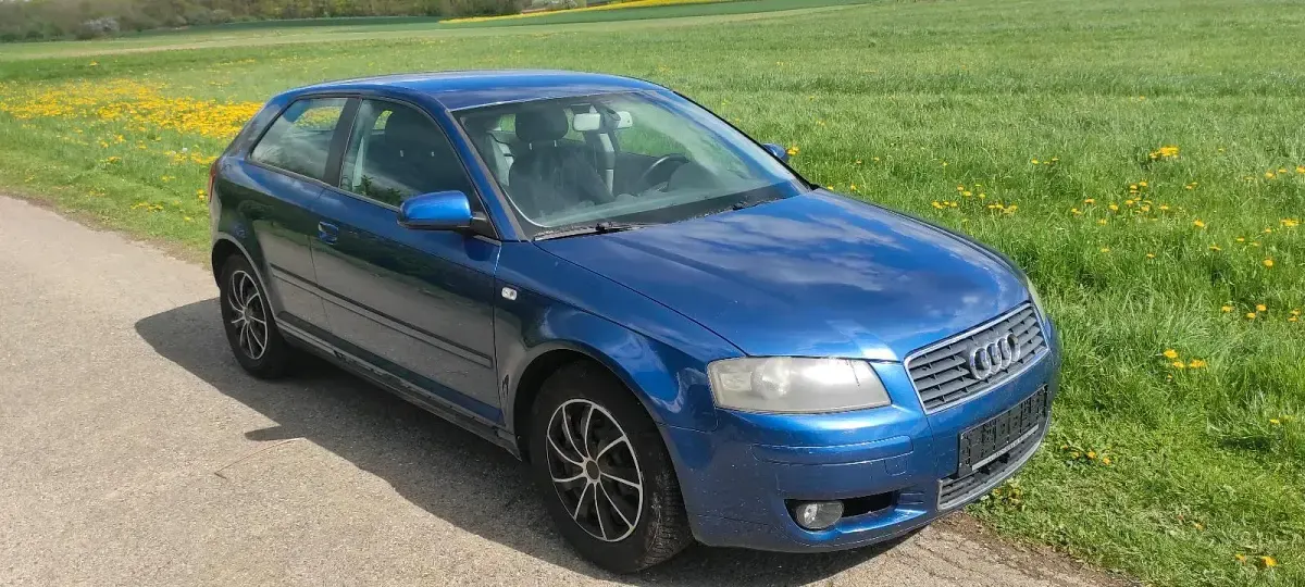 Second-hand Audi A3 100 CP (73 kW) 2007 Albastru Hatchback
