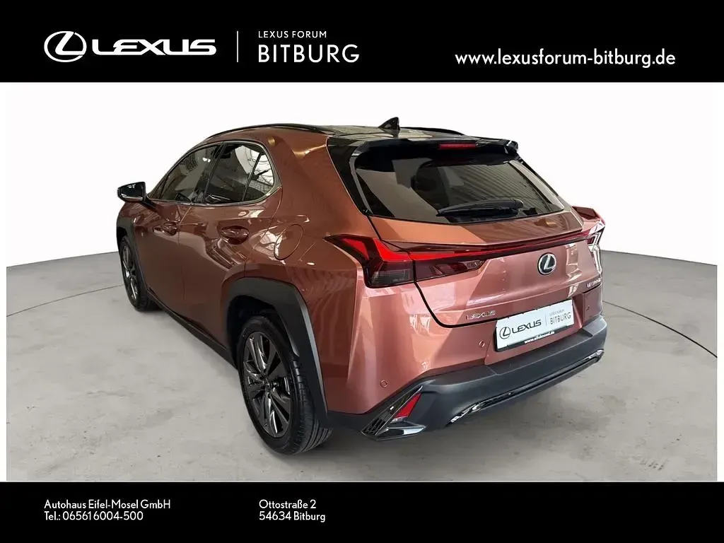 Neu Lexus UX 300h Sport Design Packet 199 PS (146 kW) 2026 Rot SUV