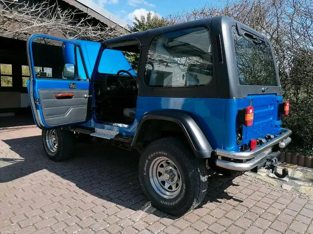 Gebraucht Jeep Wrangler 178 PS (130 kW) 1992 SUV