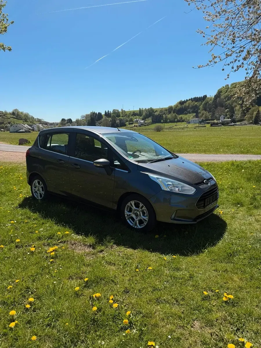 Gebraucht Ford B-MAX 125 PS (91 kW) 2015 Grau Van / Kleinbus