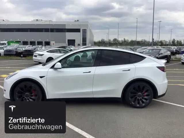 Occasion Tesla Model Y Performance 392 kW (533 ch) 2022 Blanc SUV