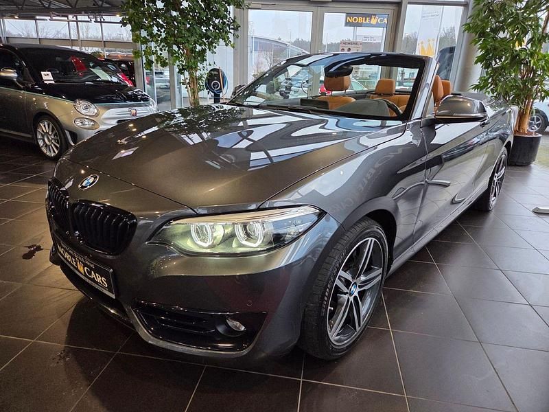 Gebraucht BMW 220 Sport Line 190 PS (139 kW) 2019 Grau Cabrio