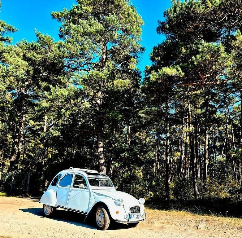Gebraucht Citroën 2CV 29 PS (21 kW) 1985 Weiß Limousine