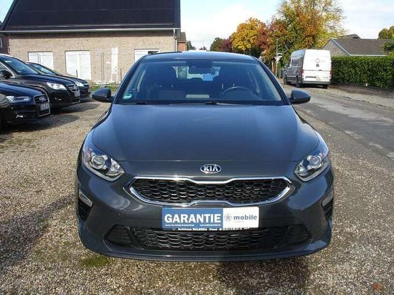 Gebraucht Kia Ceed Edition 7 99 PS (72 kW) 2019 Dark penta Kleinwagen