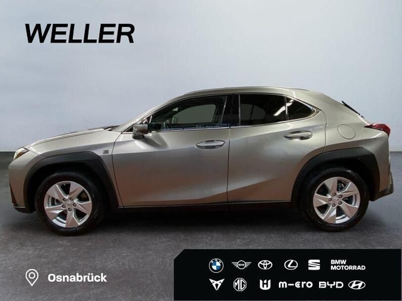 Gebraucht Lexus UX 184 PS (135 kW) 2023 Andere SUV