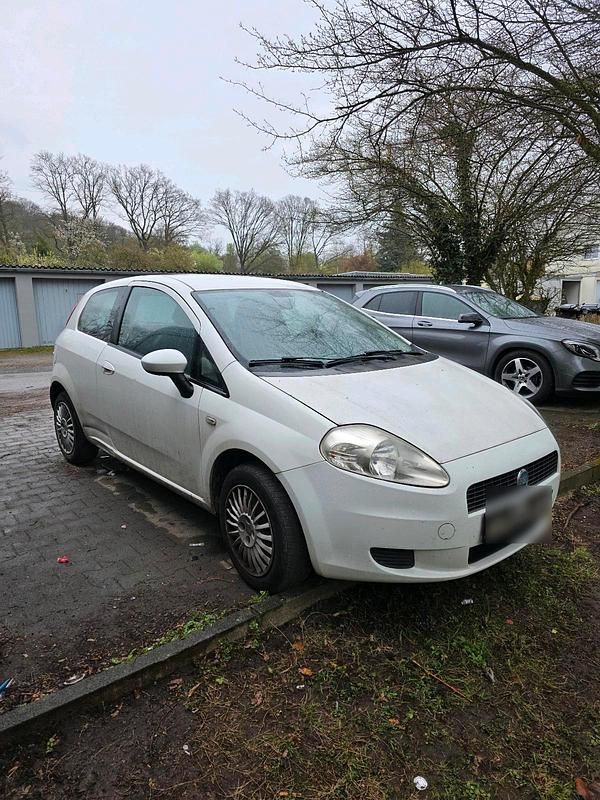 Gebraucht Fiat Punto 2009 Weiß Kleinwagen