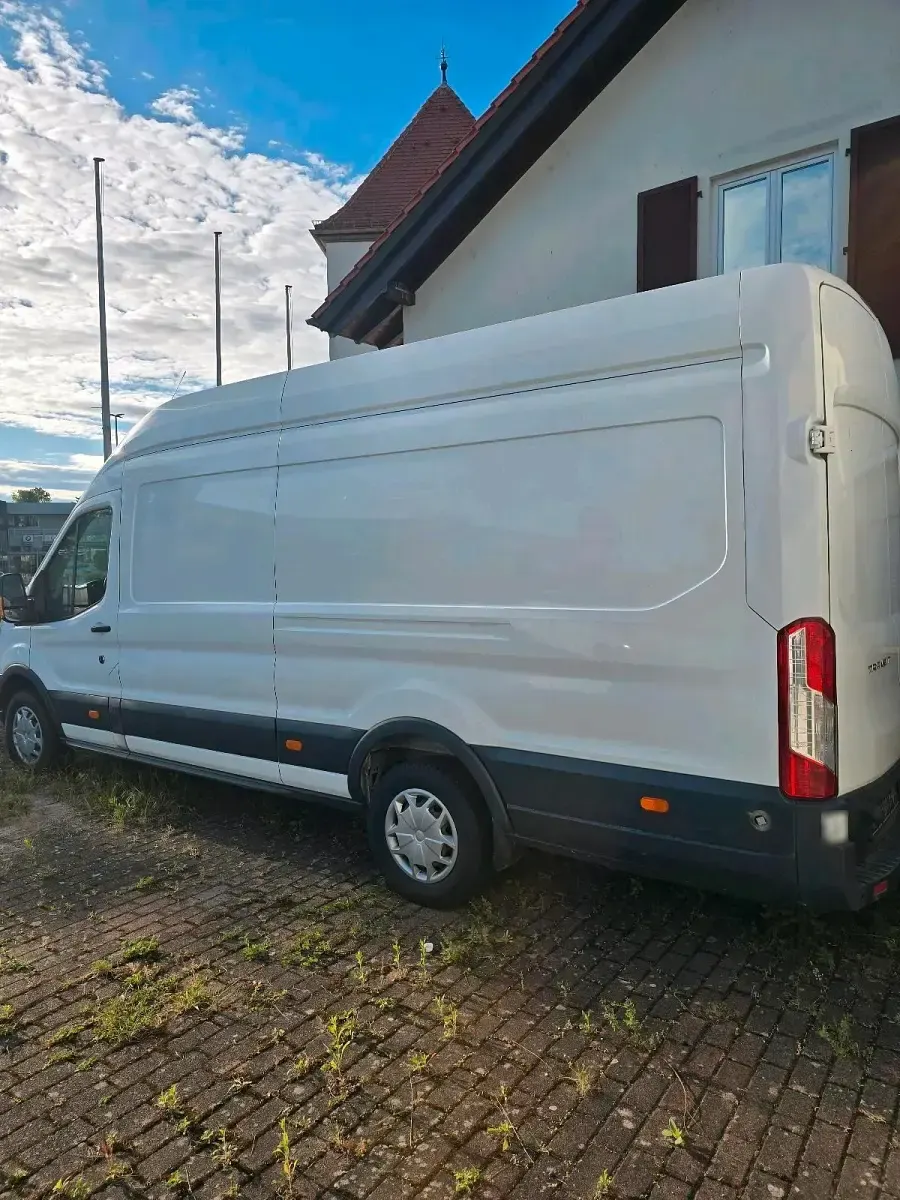Gebraucht Ford Focus 190 PS (139 kW) 2019 Weiß Van / Kleinbus