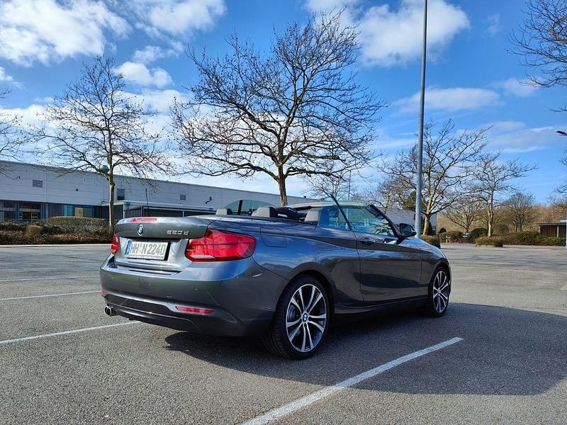 Gebraucht BMW 220 Advantage 190 PS (139 kW) 2019 Grau Cabrio