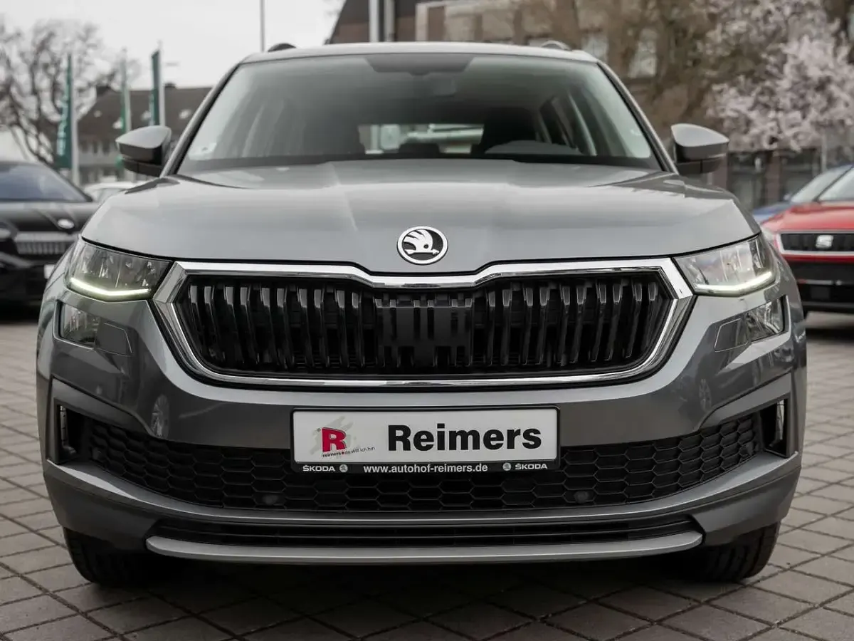 Gebraucht Skoda Kodiaq Active 150 PS (110 kW) 2021 Graphitegrau metallic SUV