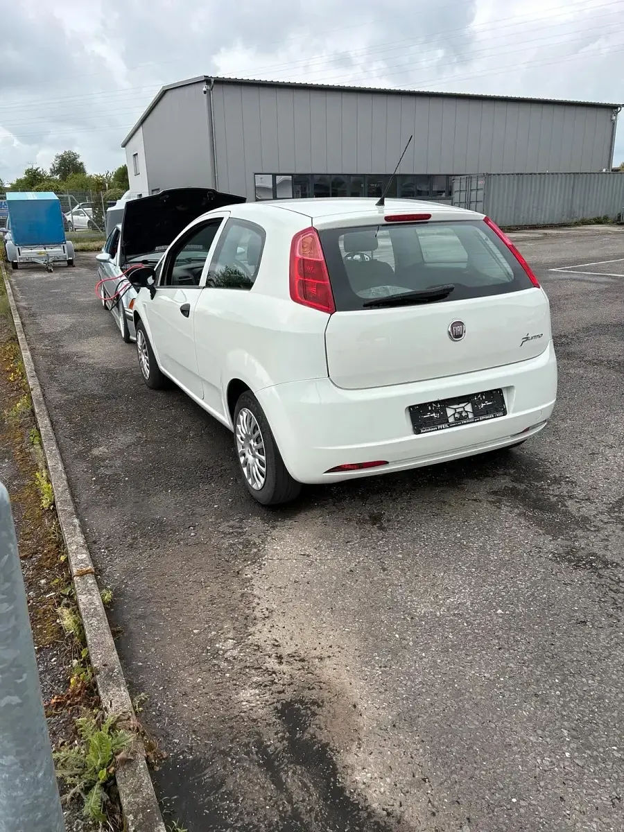 Usata Fiat Punto 69 CV (50 kW) 2012 Bianco Utilitaria