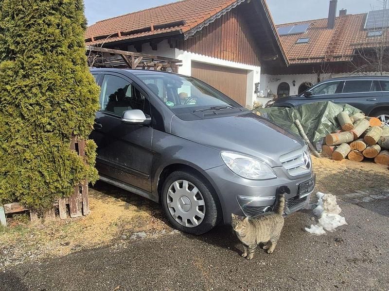 Gebraucht Mercedes B200 136 PS (100 kW) 2008 Grau Van / Kleinbus