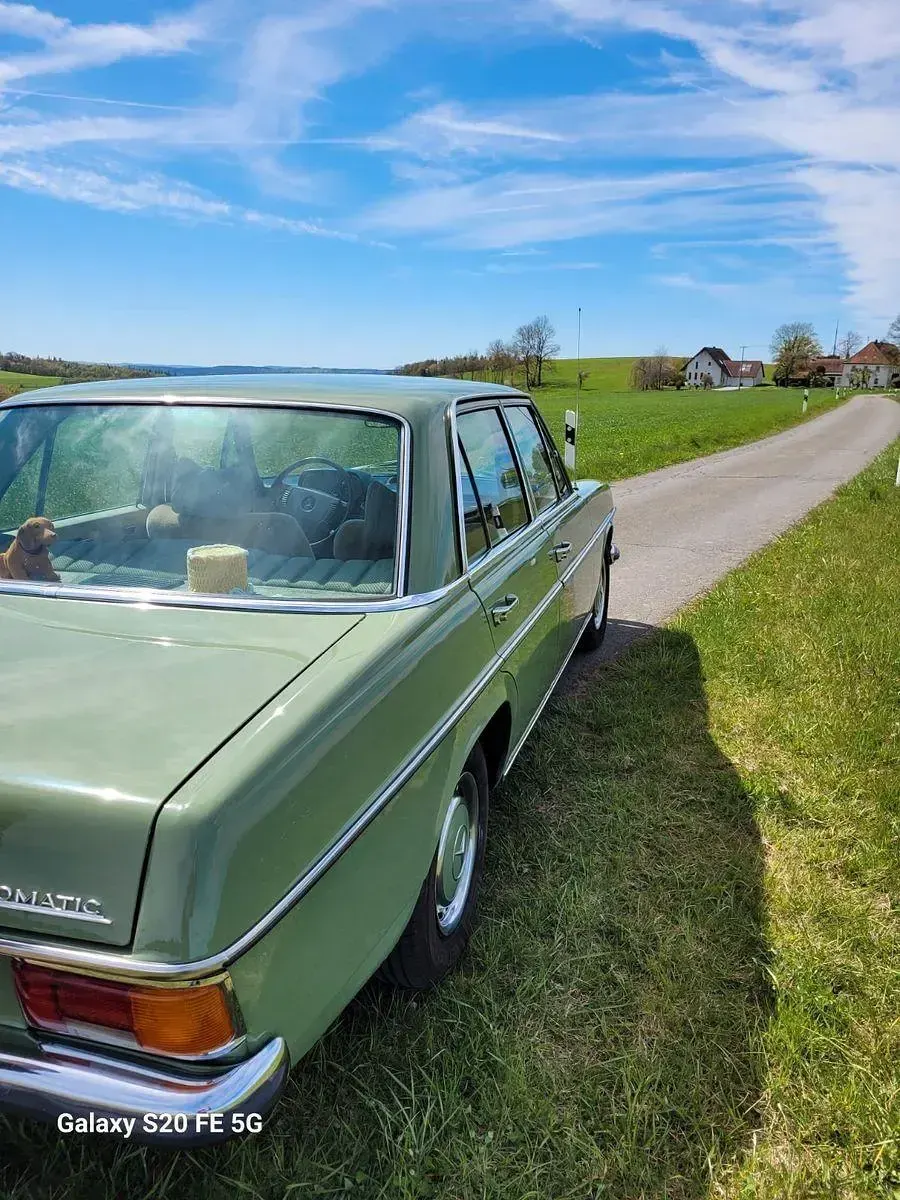 Gebraucht Mercedes W114 120 PS (88 kW) 1972 Grün Limousine