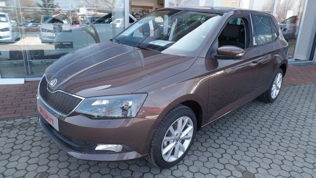 Gebraucht Skoda Fabia Joy 90 PS (66 kW) 2016 Braun metallic Kleinwagen