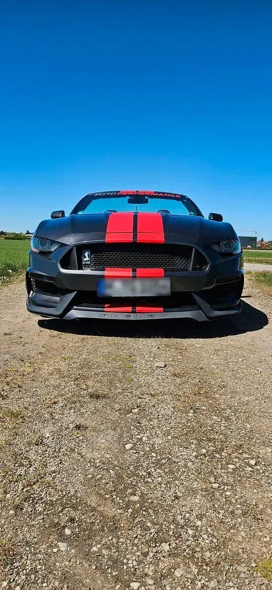 Gebraucht Ford Mustang 317 PS (233 kW) 2017 Grau Cabrio