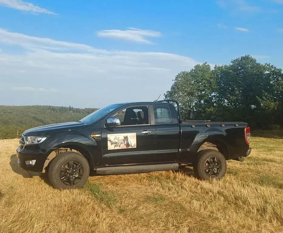 Gebraucht Ford Ranger 125 PS (91 kW) 2020 Schwarz Pickup