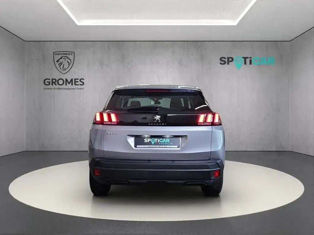 Gebraucht Peugeot 3008 Active 131 PS (96 kW) 2023 Grau SUV