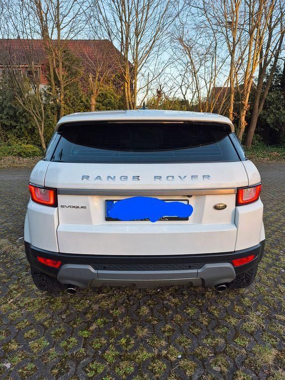 Gebraucht Land Rover Range Rover evoque SE Dynamic 150 PS (110 kW) 2016 Weiß SUV