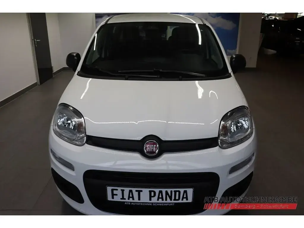 Neu Fiat Panda Icon 65 PS (47 kW) 2026 Weiss Kleinwagen