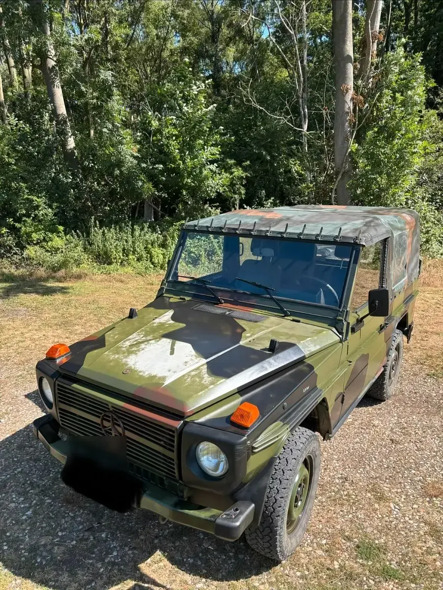 Gebraucht Mercedes G250 92 PS (67 kW) 1992 Grün SUV