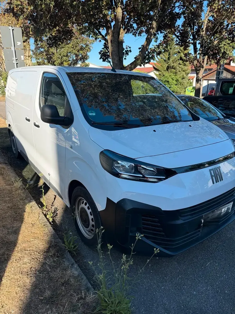 Gebraucht Fiat Scudo 120 PS (88 kW) 2024 Weiß Van