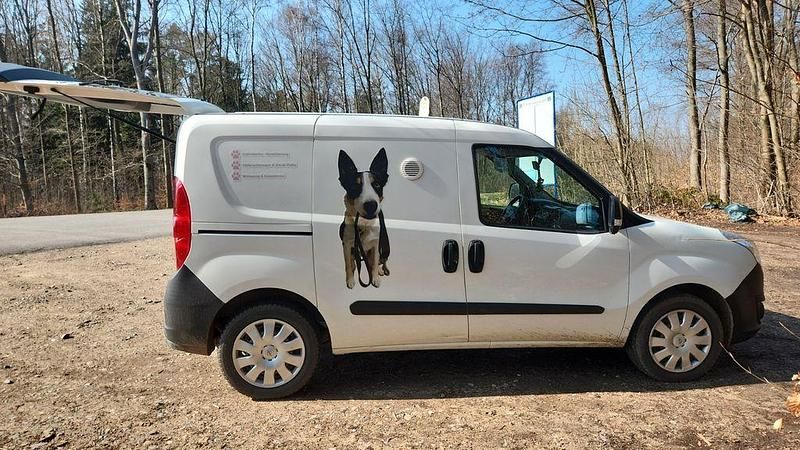 Gebraucht Opel Combo Selection 95 PS (69 kW) 2015 Schwarz Van / Kleinbus