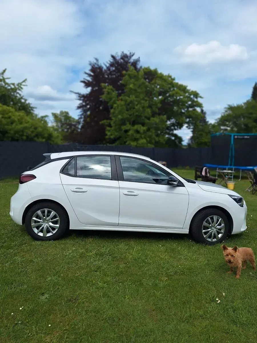 Gebraucht Opel Corsa 75 PS (55 kW) 2021 Weiß Kleinwagen
