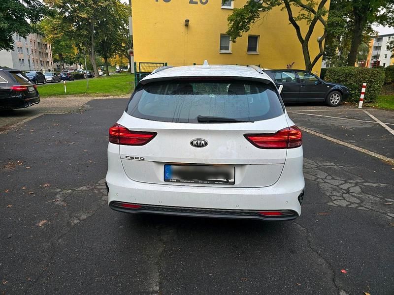 Gebraucht Kia Ceed 135 PS (99 kW) 2019 Weiß Kleinwagen
