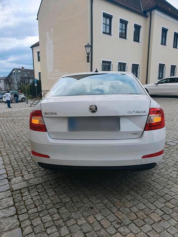 Gebraucht Skoda Octavia 130 PS (95 kW) 2016 Weiß Kleinwagen