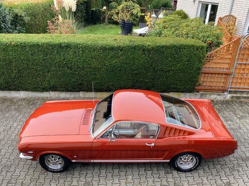 Gebraucht Ford Mustang GT Fastback 224 PS (164 kW) 1966 Braun Coupé
