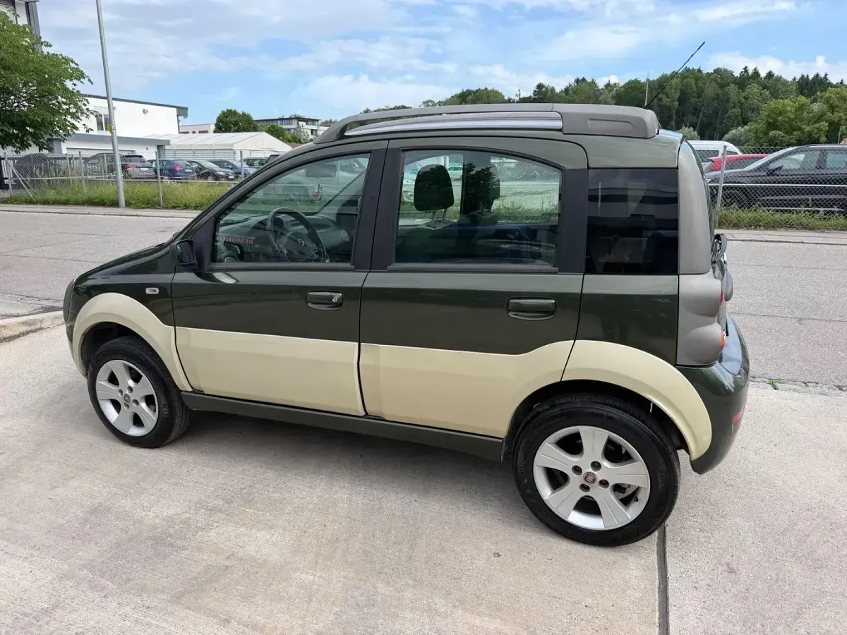 Gebraucht Fiat Panda 4x4 69 PS (50 kW) 2006 Grün Kleinwagen