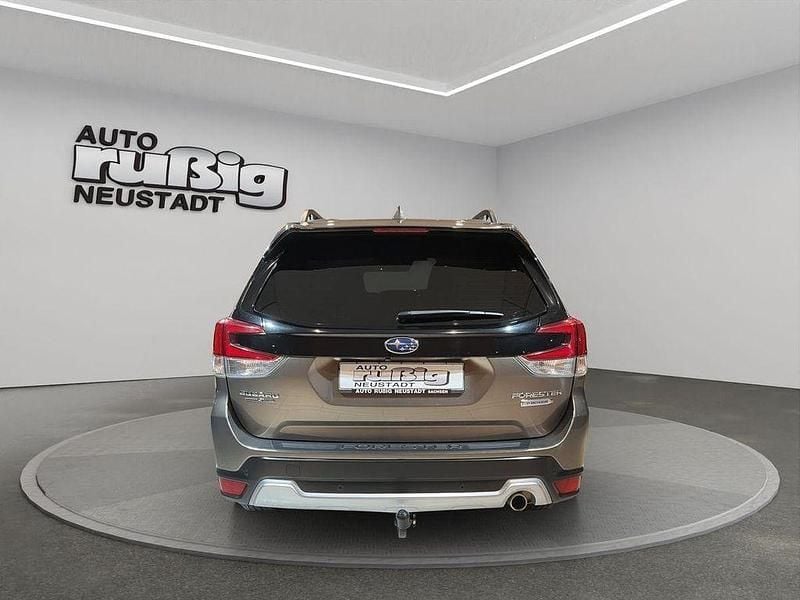 Gebraucht Subaru Forester Comfort 150 PS (110 kW) 2020 Sepia bronze (m) SUV