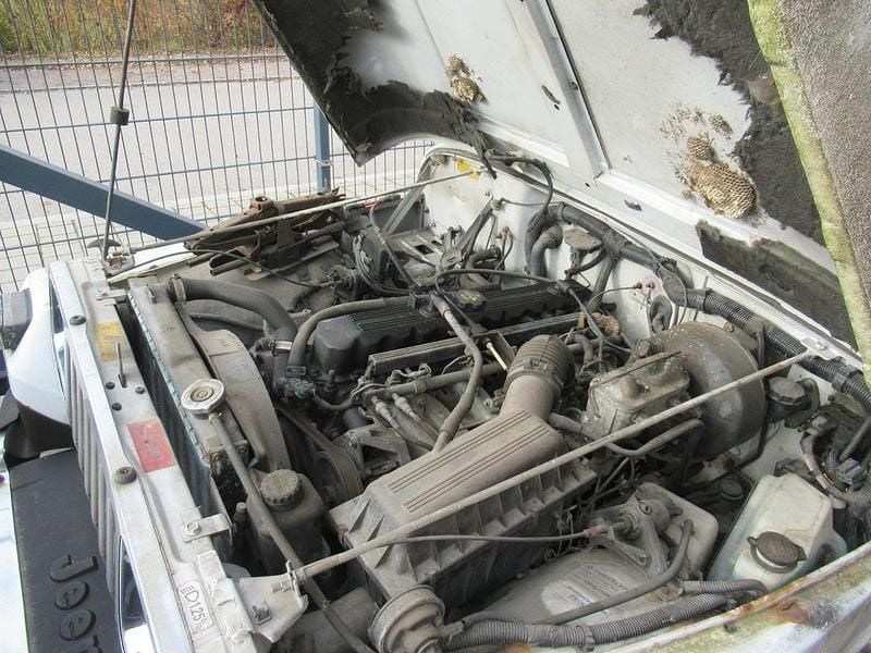 Gebraucht Jeep Wrangler 178 PS (130 kW) 1992 Weiß SUV