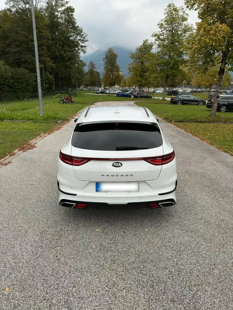 Gebraucht Kia ProCeed GT GT 204 PS (150 kW) 2019 Weiß Kleinwagen