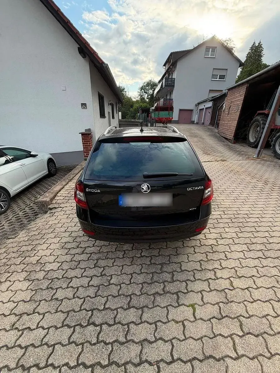 Gebraucht Skoda Octavia Style 150 PS (110 kW) 2019 Schwarz Kombi