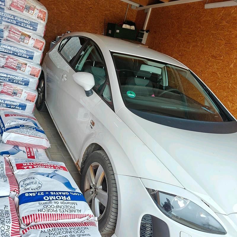 Gebraucht Seat Leon 125 PS (91 kW) 2009 Weiß Kleinwagen