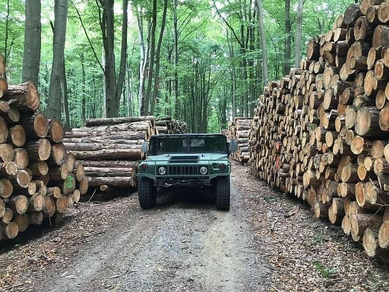 Grün Gebraucht 1985 Hummer H1 SUV | 39.700 € - Bild 1/4