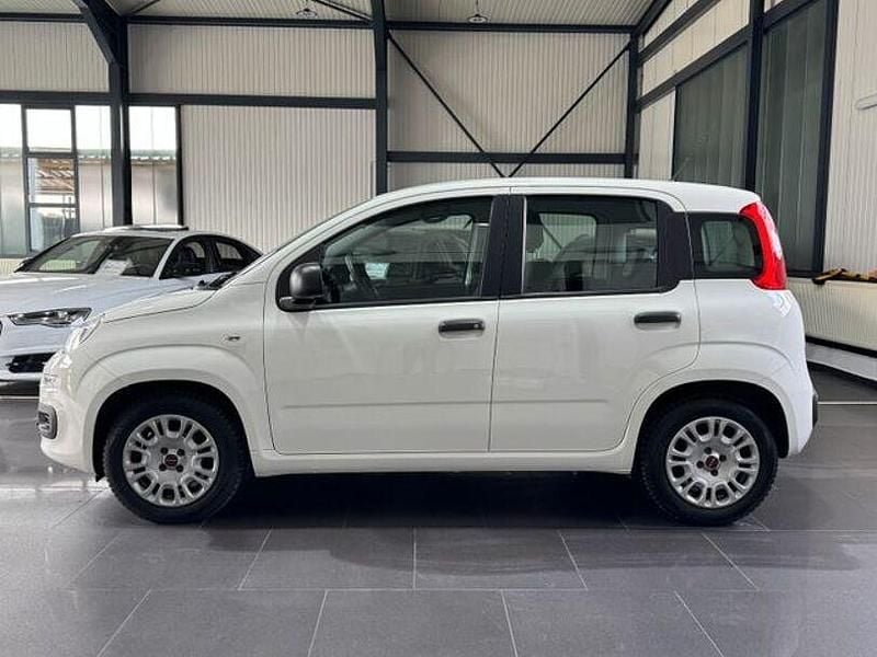 Gebraucht Fiat Panda Easy 69 PS (50 kW) 2017 Weiß Kleinwagen