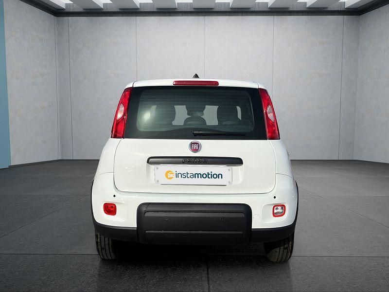 Neu Fiat Panda 69 PS (50 kW) 2025 Weiß Kleinwagen