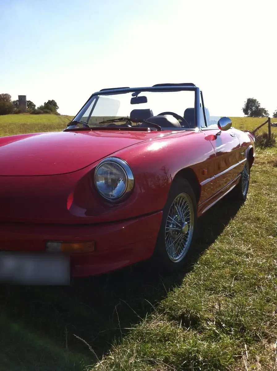 Gebraucht Alfa Romeo Spider 116 PS (85 kW) 1989 Rot Cabrio