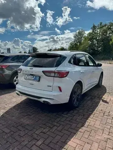 Gebraucht Ford Kuga ST-Line X 152 PS (111 kW) 2021 Weiß SUV