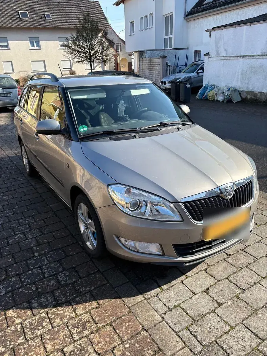 Second-hand Skoda Fabia 90 CP (66 kW) 2013 Auriu Berlinǎ
