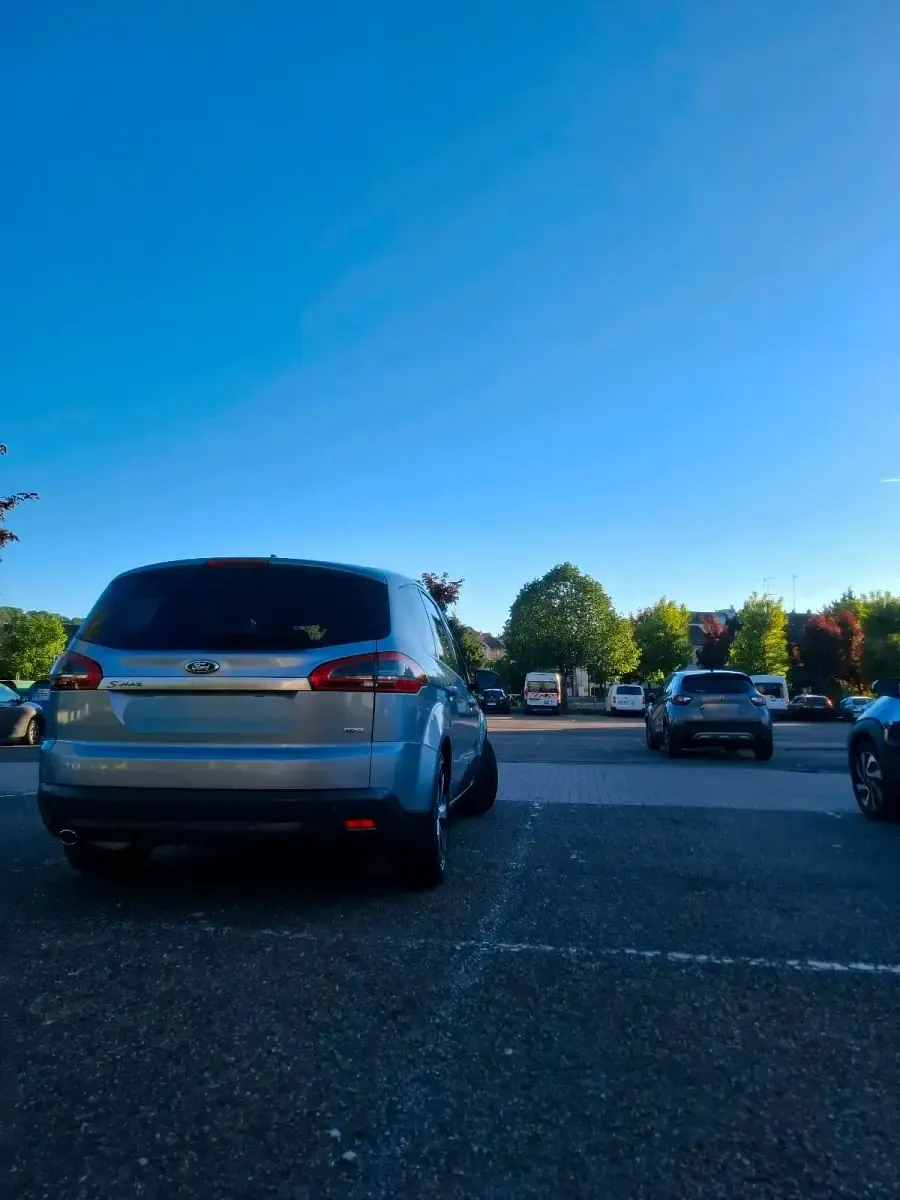 Gebraucht Ford S-MAX S 140 PS (102 kW) 2010 Grau Van / Kleinbus